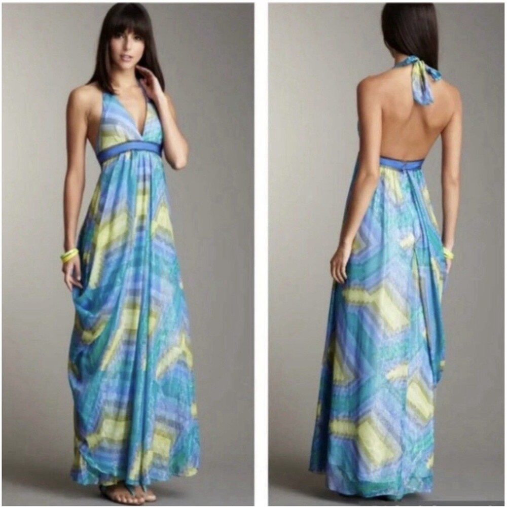 NWOT BCBG MAXAZRIA Chiffon Metallic Printed Maxi Dress size 10